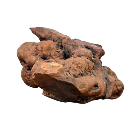 Beautiful Unique Piece of Petrified Wood MCM fossil mineral specimen healing - Picture 6 of 15